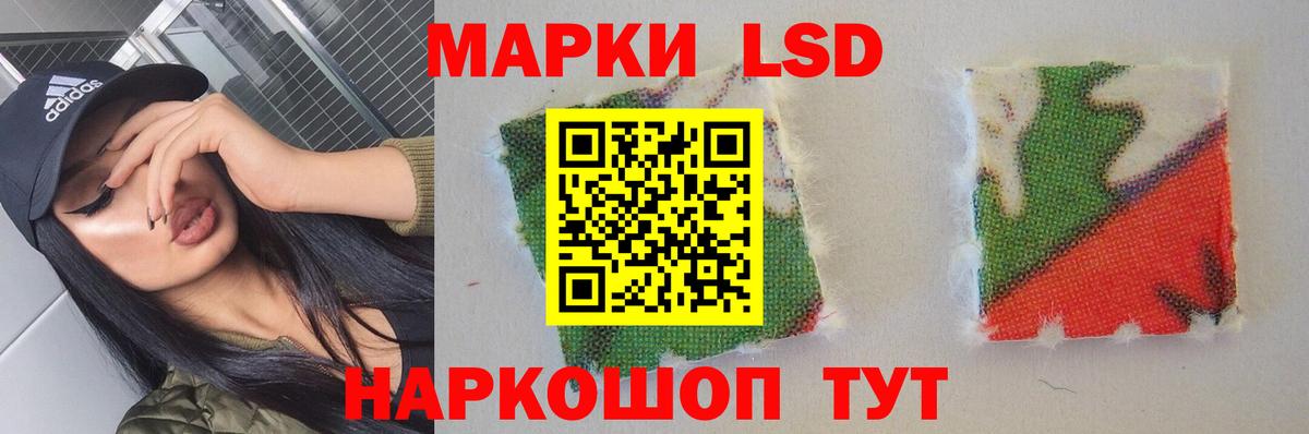 МЕФ Туймазы