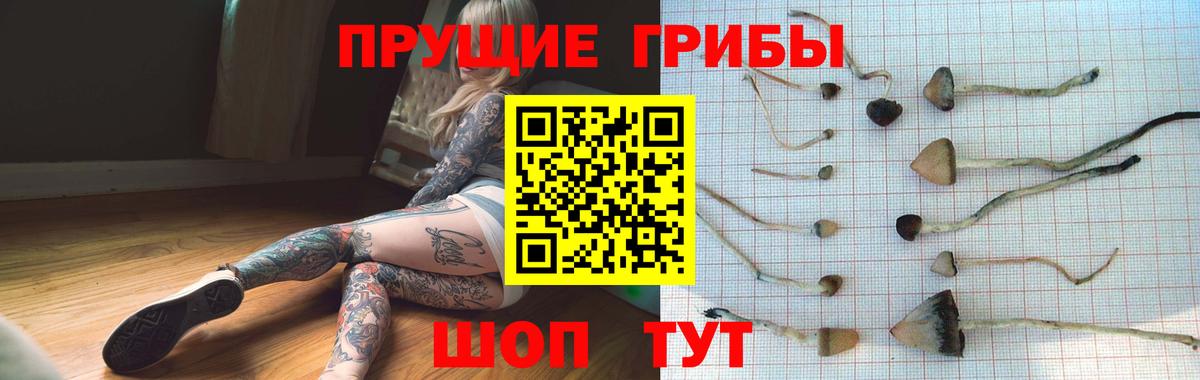 сколько стоит  Галлюциногенные грибы прущие грибы  Вход с VPN  Туймазы 
